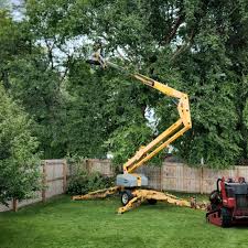 Best Tree Risk Assessment  in Oneida, NY