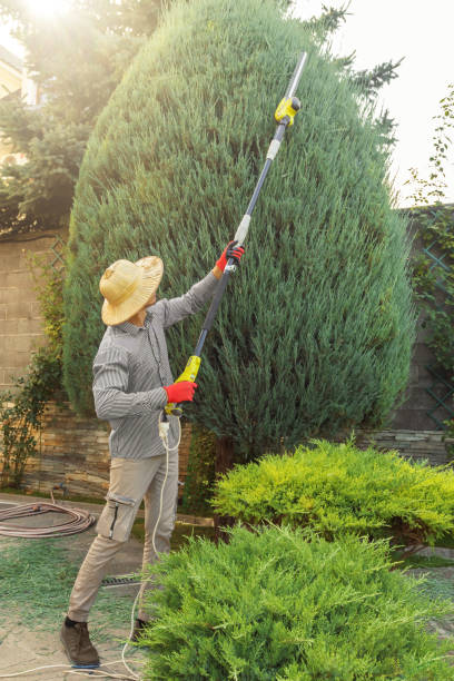 Best Landscape Design and Installation  in Oneida, NY